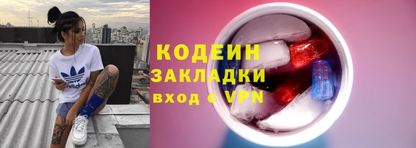 твердый Бородино