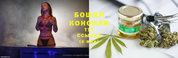 твердый Бородино
