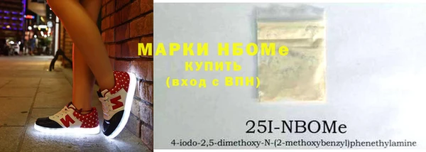 твердый Бородино