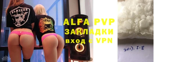 твердый Бородино