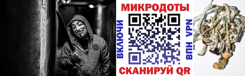 Псилоцибиновые грибы Psilocybine cubensis  Катав-Ивановск 